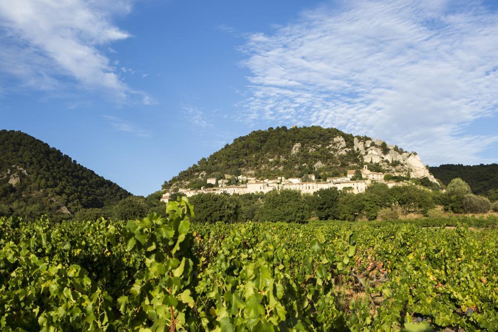 Hotellerie Du Domaine De Cabasse Séguret Eksteriør billede